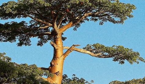 注冊公司,龍崗注冊公司,無地址注冊公司,公司注冊代辦,貿(mào)易公司注冊,深圳代理記賬,公司地址掛靠,深圳明天好財稅